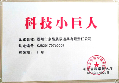 13-科技小巨人证书.JPG